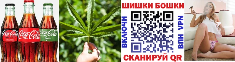 Купить где  Петровск  Canna-Cookies конопля 
