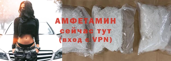 молекула духа Горняк