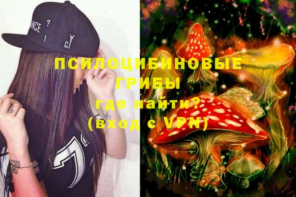 хмурый Горно-Алтайск