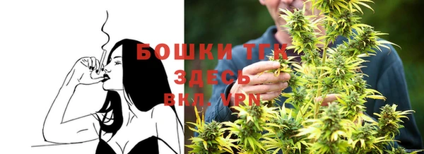 молекула духа Горняк