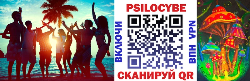 Псилоцибиновые грибы Psilocybine cubensis  Купить где  Петровск 