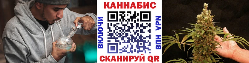 Бошки марихуана THC 21%  Купить закладки  Петровск 